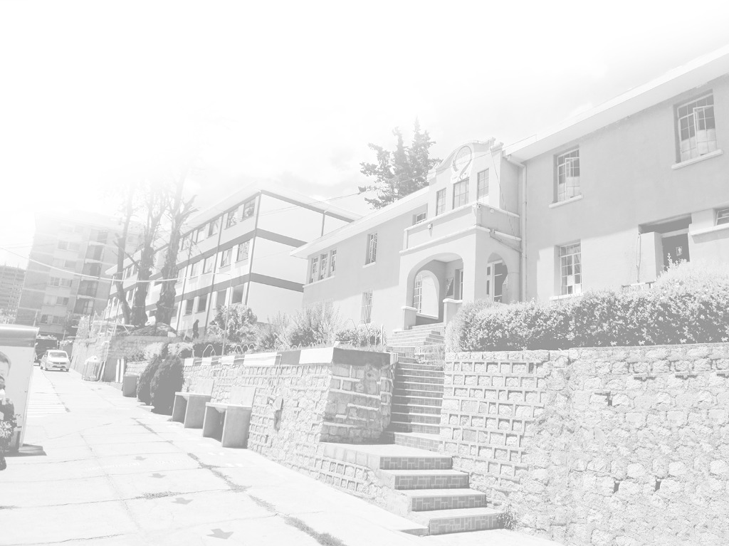 Historia Institucional
